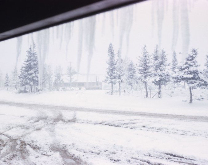 Blizzard and icicles