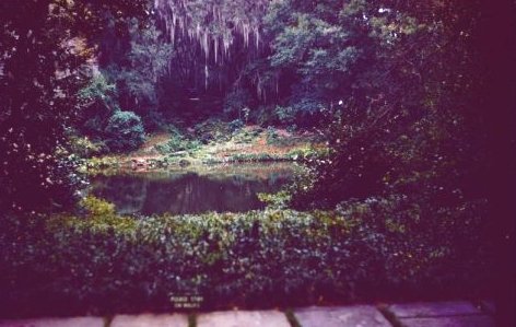 Bellingrath scene