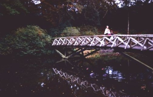 Mom and girls on bridge