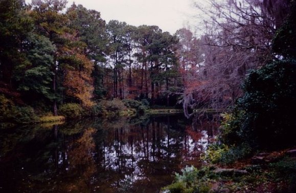 Bellingrath scene