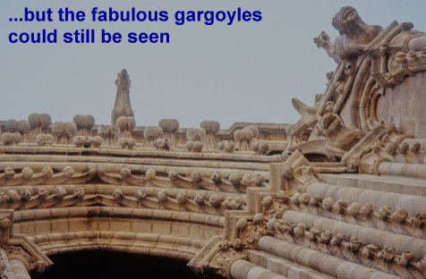 Notre Dame gargoyles