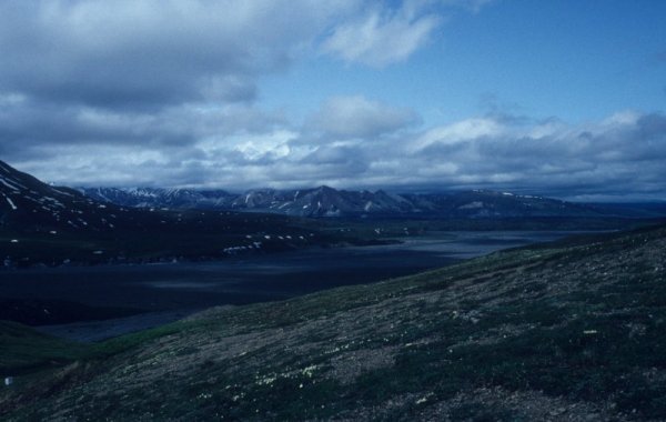 Denali scenery