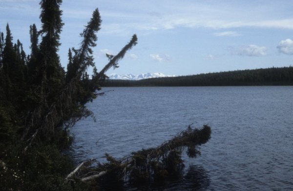 Cook Inlet