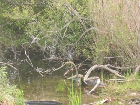 Everglades Natl. Park