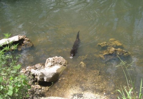 Big Cypress Preserve, FL