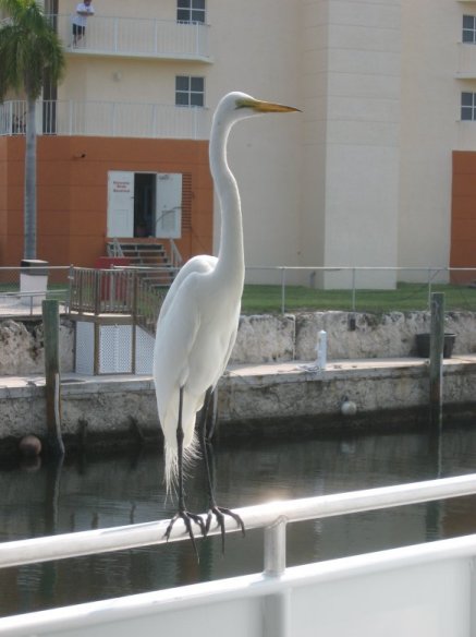 Key Largo, FL