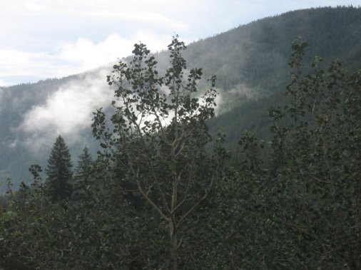 near Mt. Ouray, CO