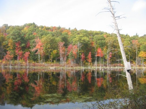 near Amhearst, NH