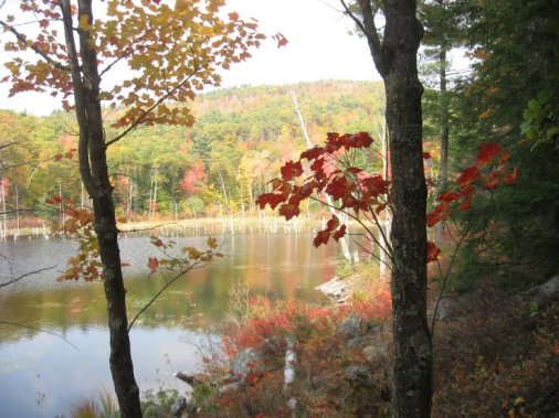 near Amhearst, NH