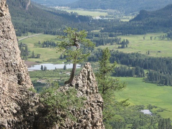 near Wolf Creek Pass, CO