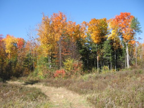 near Franklin, NH