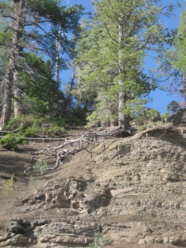 near Wolf Creek Pass, CO