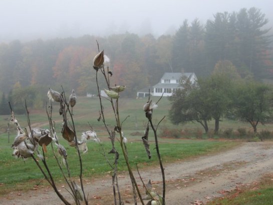 near Franklin, NH