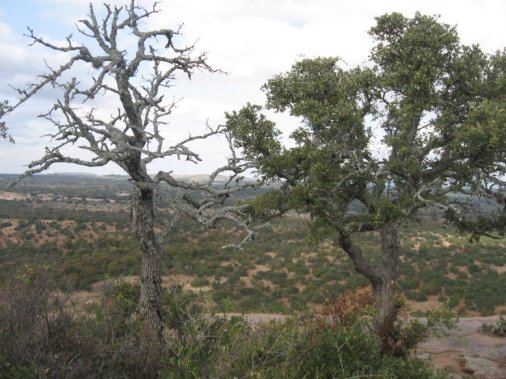 Enchanted Rock