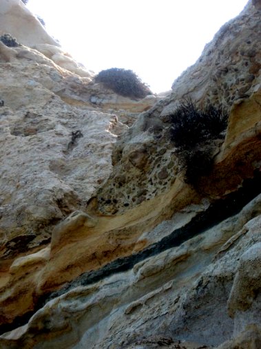 Torrey Pines, CA