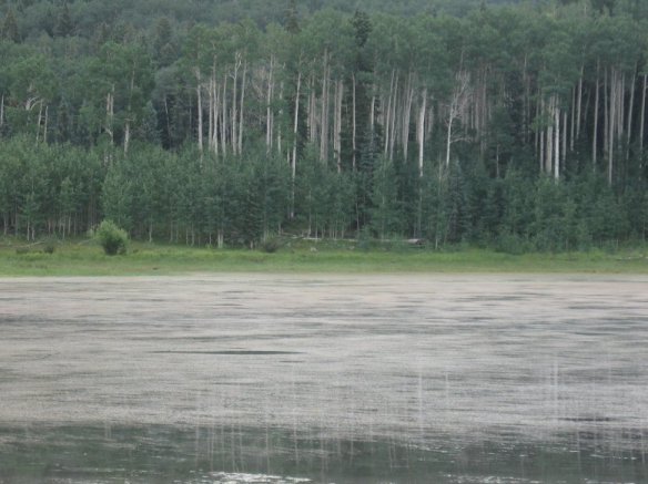 Buckles Lake, CO