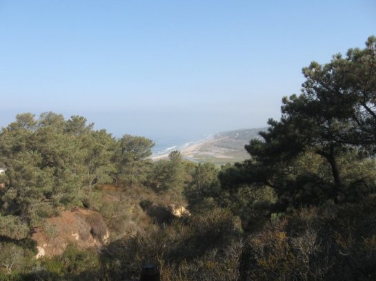 Torrey Pines, CA