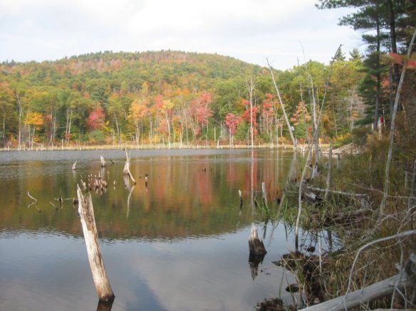 near Amhearst, NH