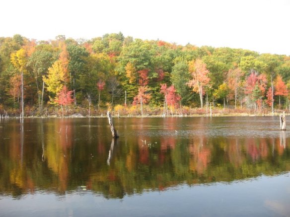 near Amhearst, NH