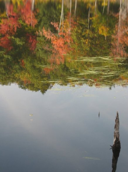 near Amhearst, NH