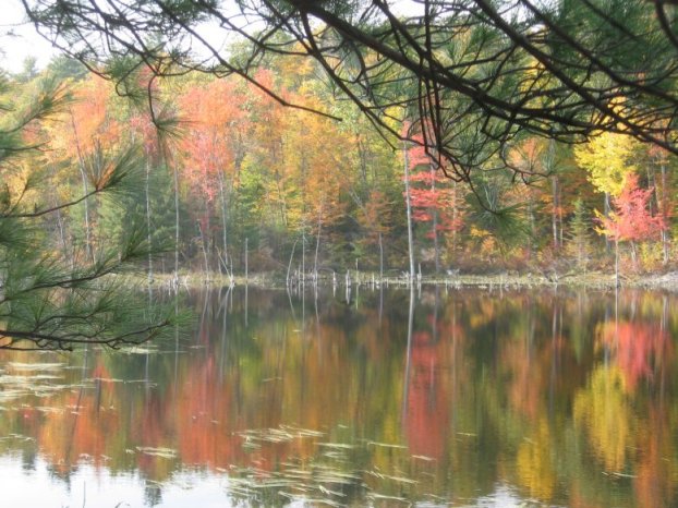 near Amhearst, NH