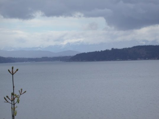 Puget Sound, WA