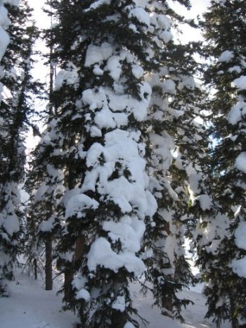 Monarch Ski Area, CO