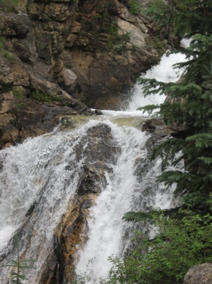 near Angel of Shavano Campground, CO