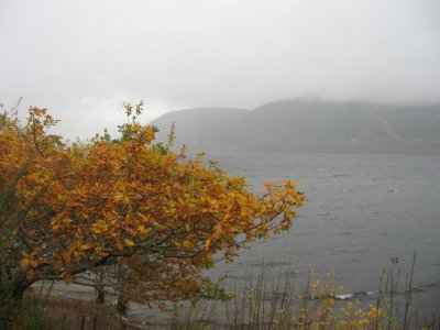 fall color at Loch Ness