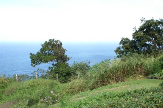 Coast at Waipio