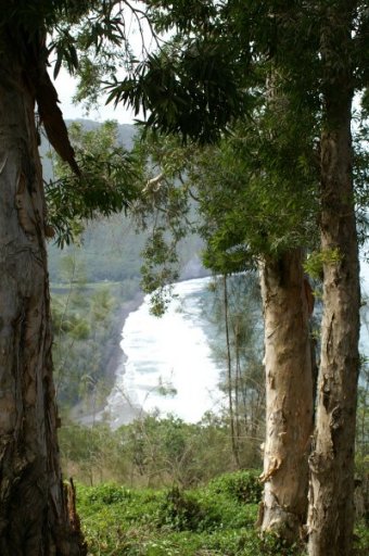 Waipio beach