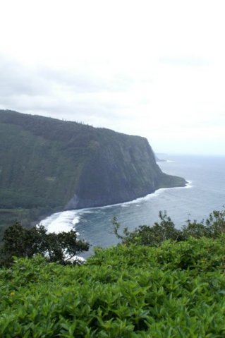 Waipio Bay