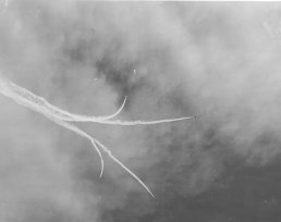 contrails