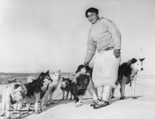 Inuit with dogs