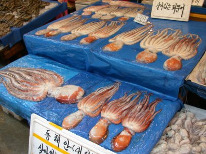 octopi in the market