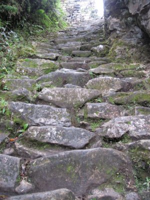 Long, steep stair