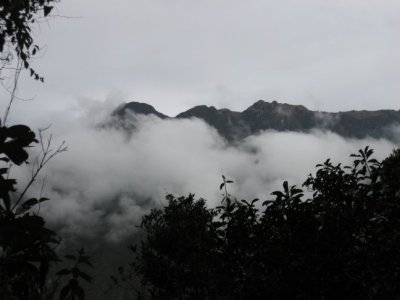 Mountains and mist
