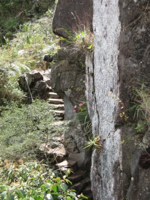 Stairs on the trail