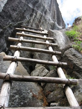 Ladder on the trail