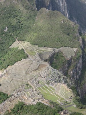 Machu Picchu