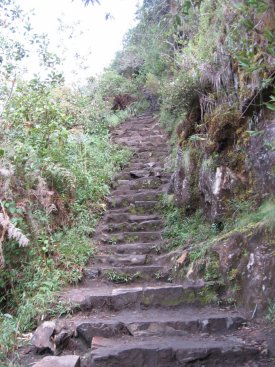 Steps up Waynapicchu