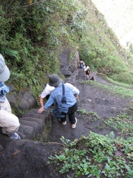Steps on Waynapicchu