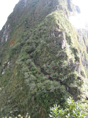 Trail up Waynapicchu