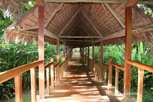 Reserva Amazonica walkway