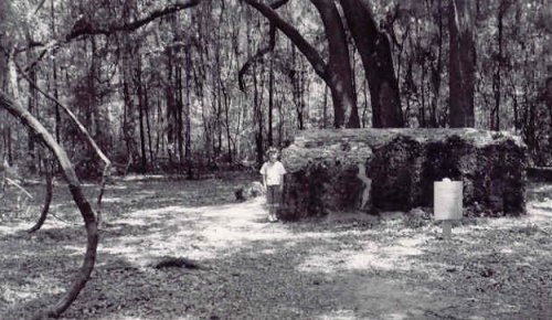 Kathleen in woods