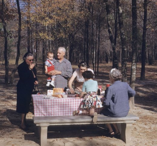 Picnic