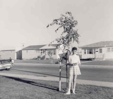 Kathleen and tree