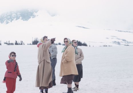 Lewis' at Logan Pass