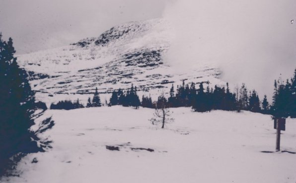 Snowy scene