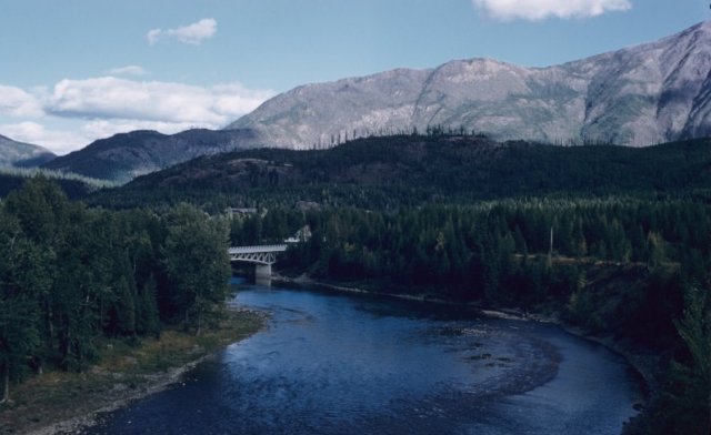 Bridge over the river